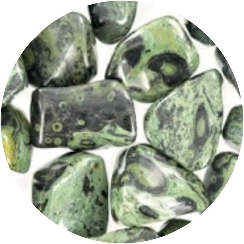 JASPE KIWI