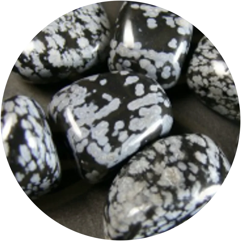 OBSIDIENNE MOUCHETEE