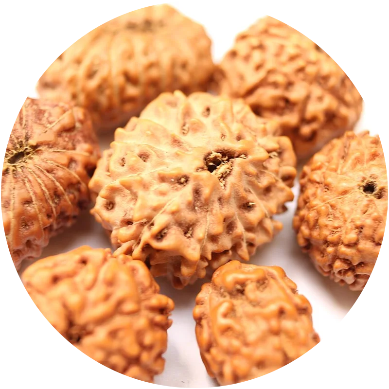 RUDRAKSHA